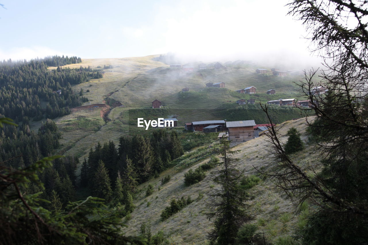 High angle view of trees and mountains against sky