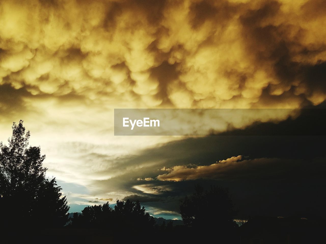 SILHOUETTE TREES AGAINST CLOUDY SKY AT SUNSET