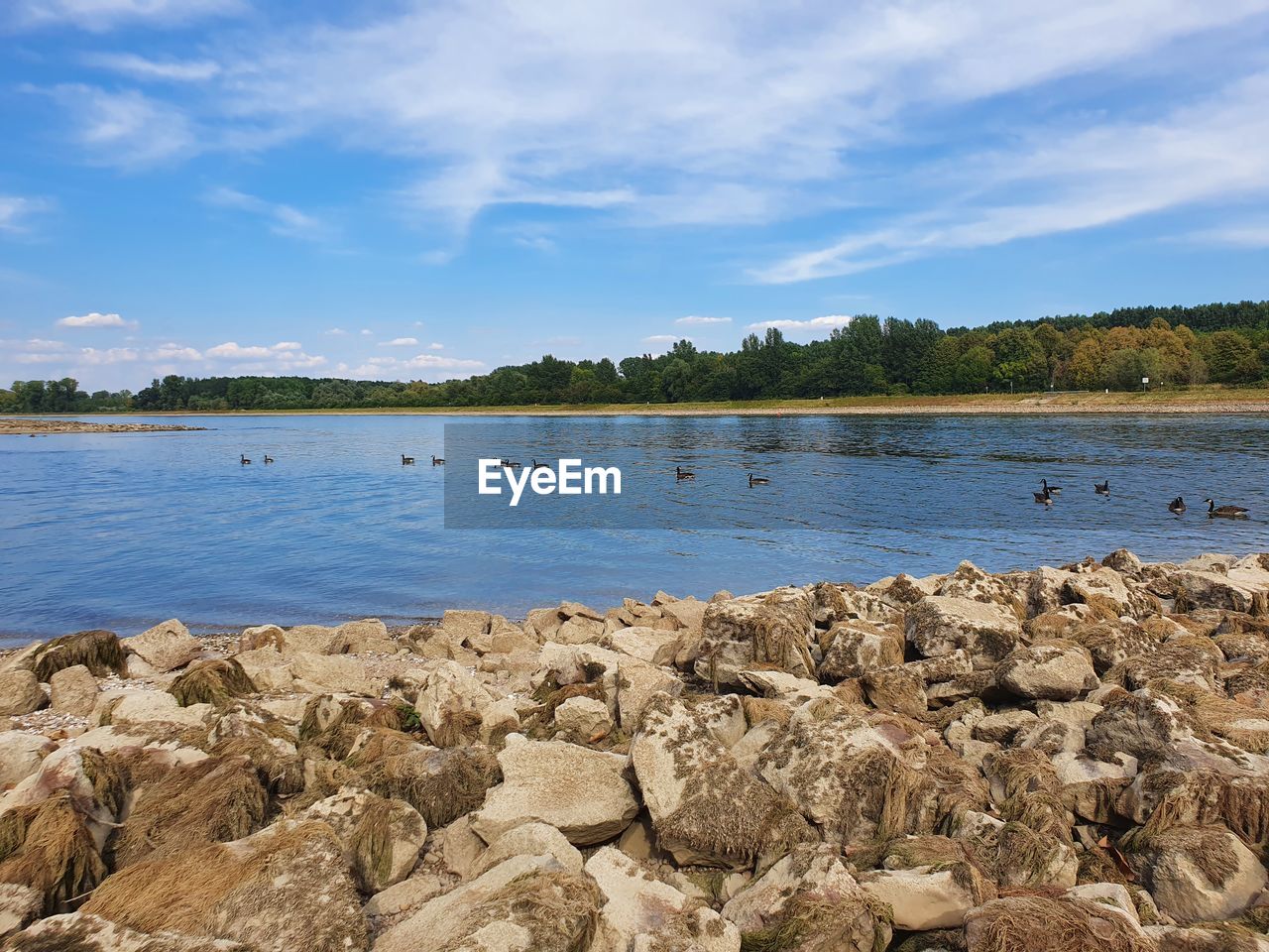 water, shore, sky, body of water, sea, nature, land, scenics - nature, beach, beauty in nature, cloud, environment, tranquility, coast, rock, landscape, tranquil scene, bay, reservoir, travel destinations, travel, no people, tree, blue, plant, day, tourism, outdoors, animal wildlife, non-urban scene, coastline, trip, vacation, holiday, summer, cove, ocean, animal, water's edge, idyllic, island, lagoon, natural environment, horizon