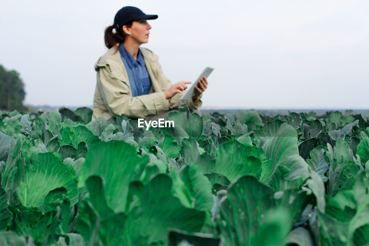 Farmer control quality of cabbage crop before harvesting. woman agronomist using digital tablet