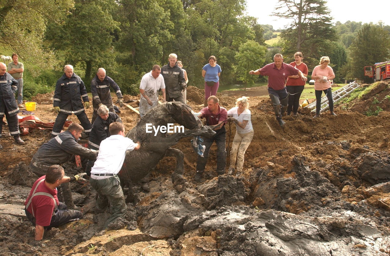 GROUP OF PEOPLE IN AN ANIMAL ON LANDSCAPE