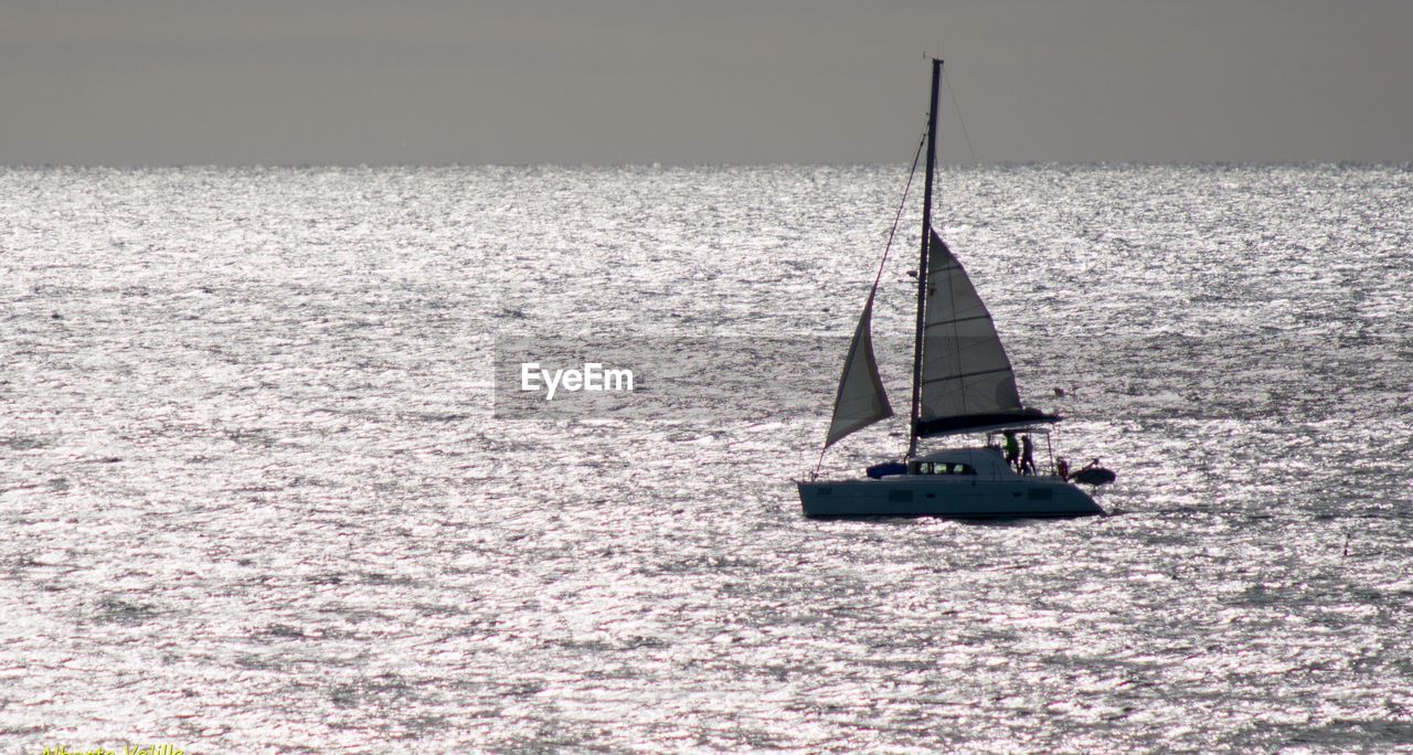 SAILBOAT SAILING IN SEA