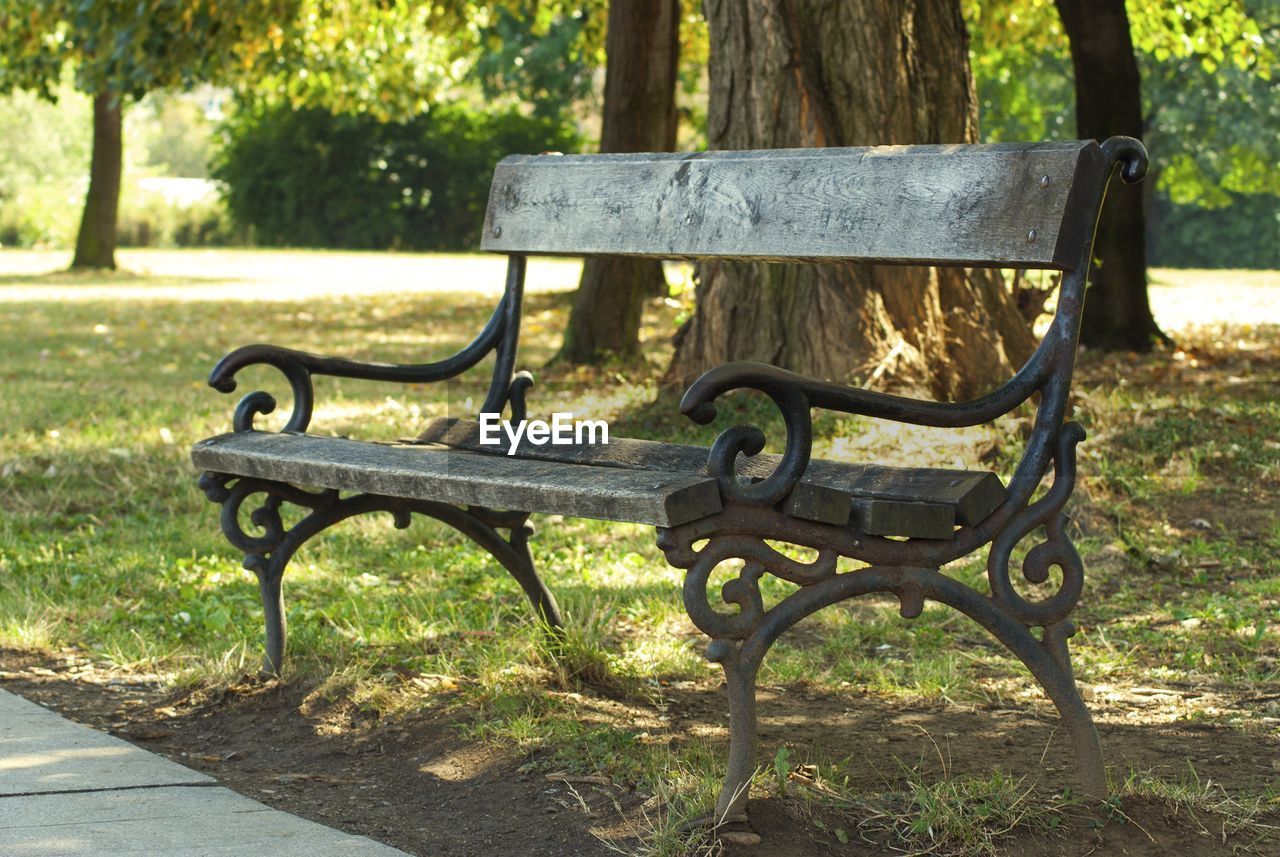 BENCH IN PARK