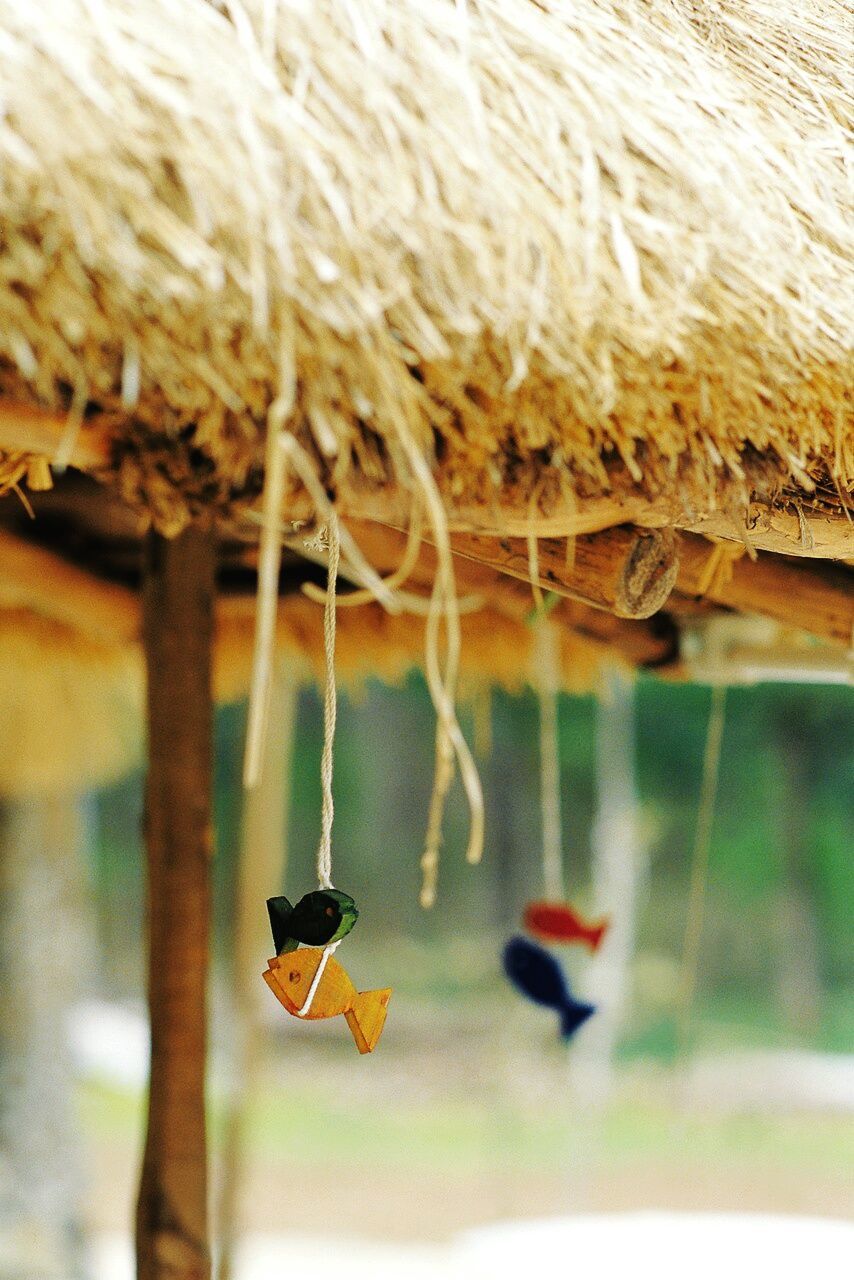 CLOSE-UP OF CRAB HANGING ON FLOOR