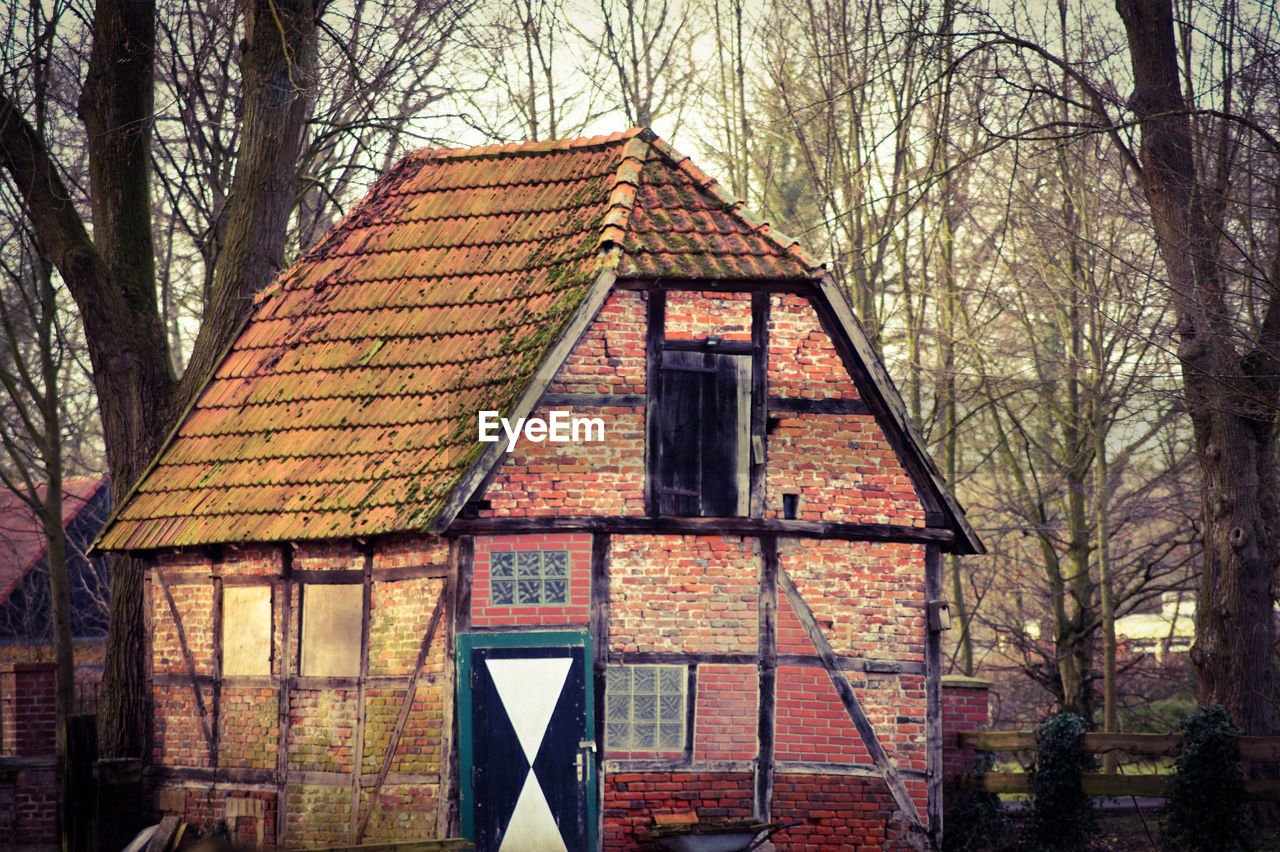 LOW ANGLE VIEW OF BUILDING AND BARE TREES