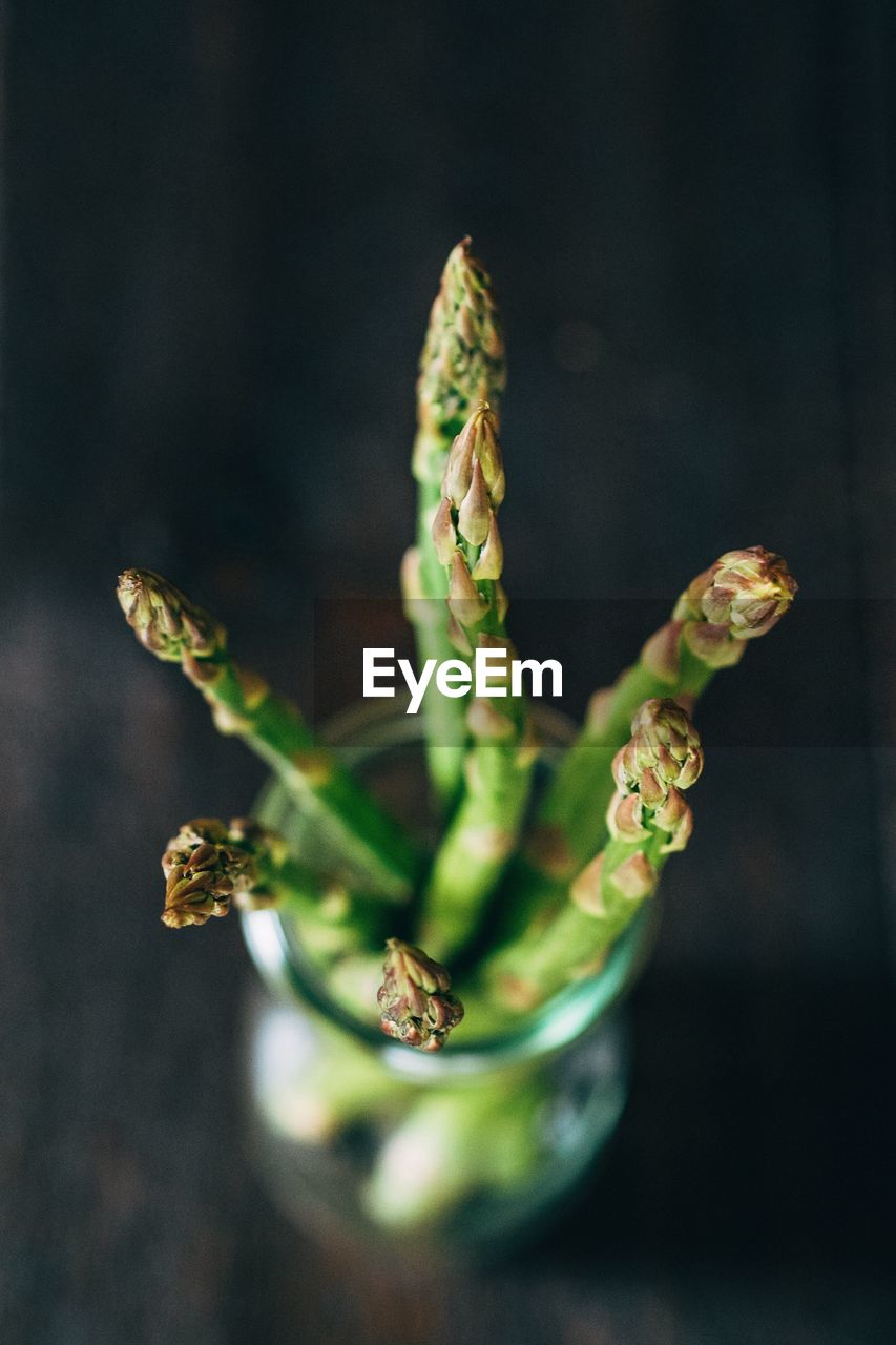 Close-up of asparagus in jar on table