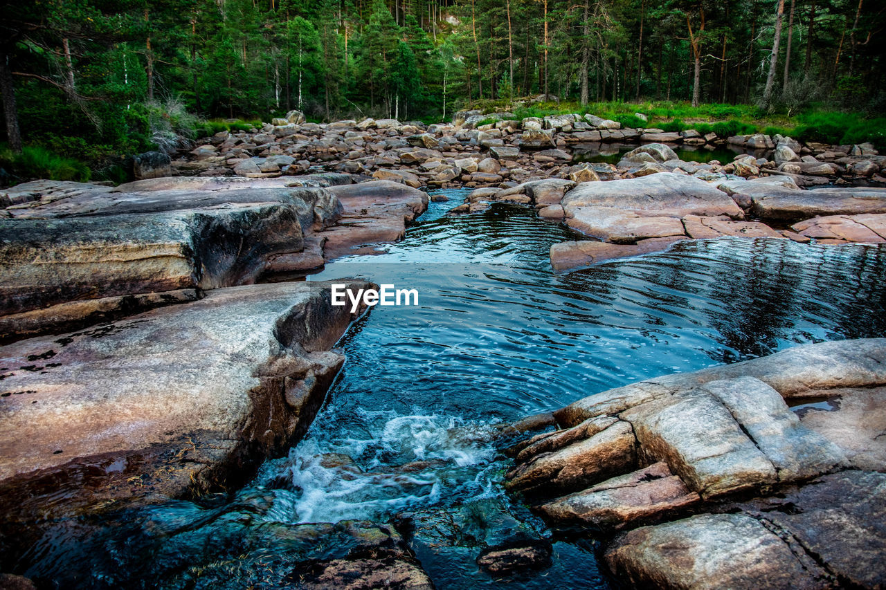 River flowing through rocks in forest