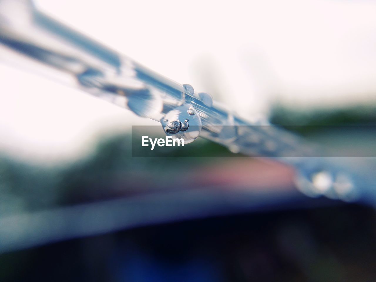 Close-up of water drop on leaf