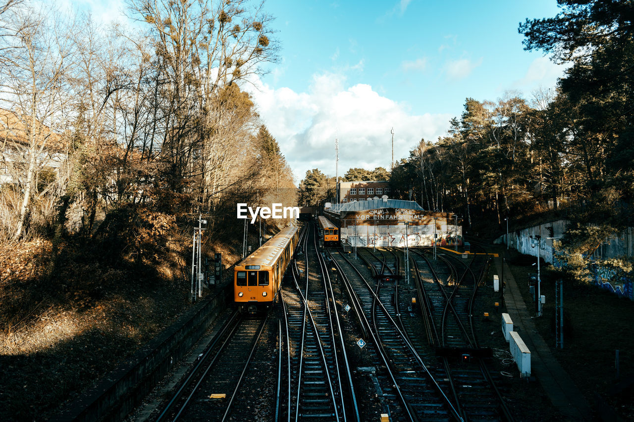 RAILROAD TRACKS AMIDST TREES IN CITY