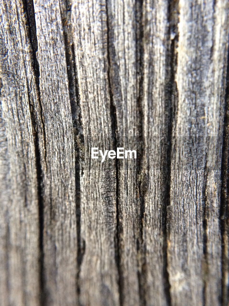 Full frame shot of wooden plank
