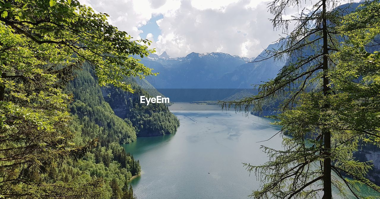 Scenic view of river amidst trees against sky