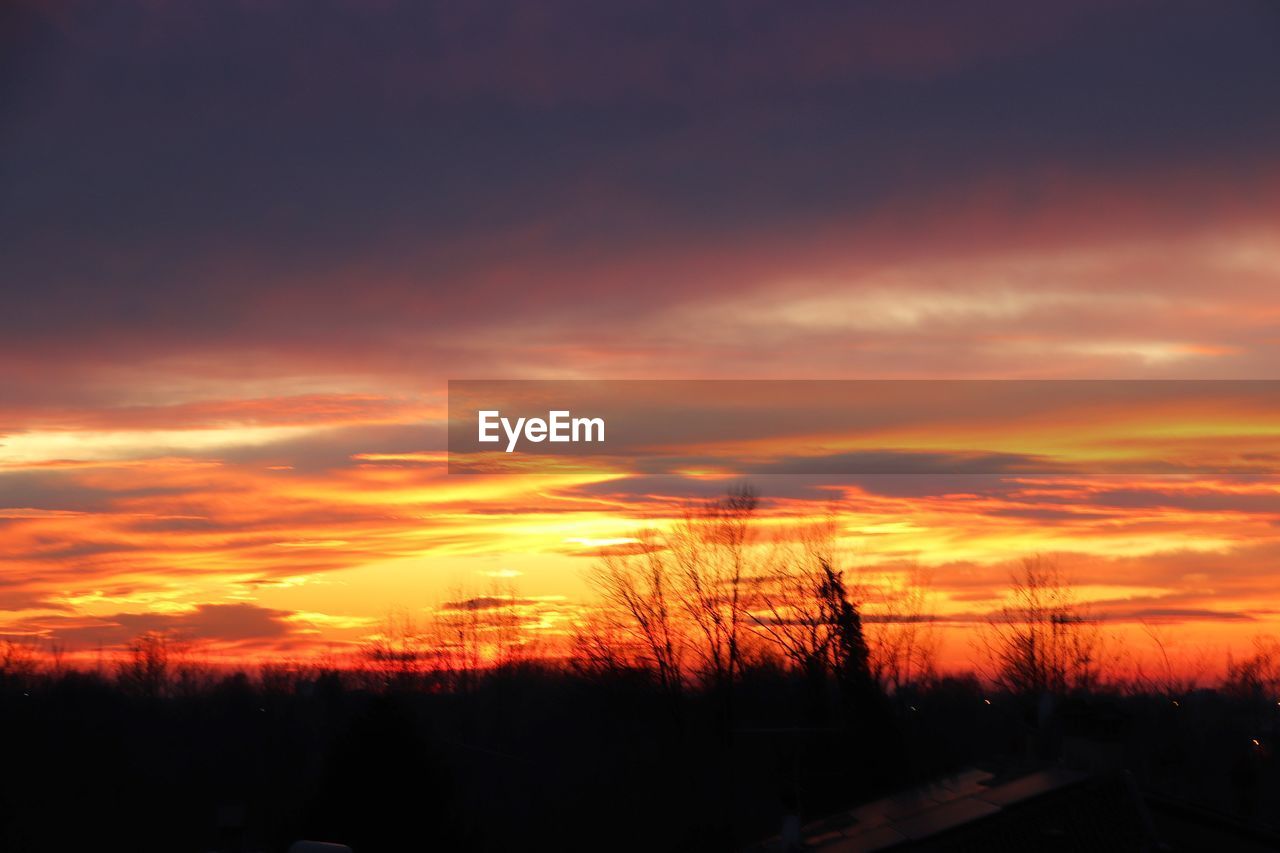 SILHOUETTE OF BARE TREES AGAINST CLOUDY SKY