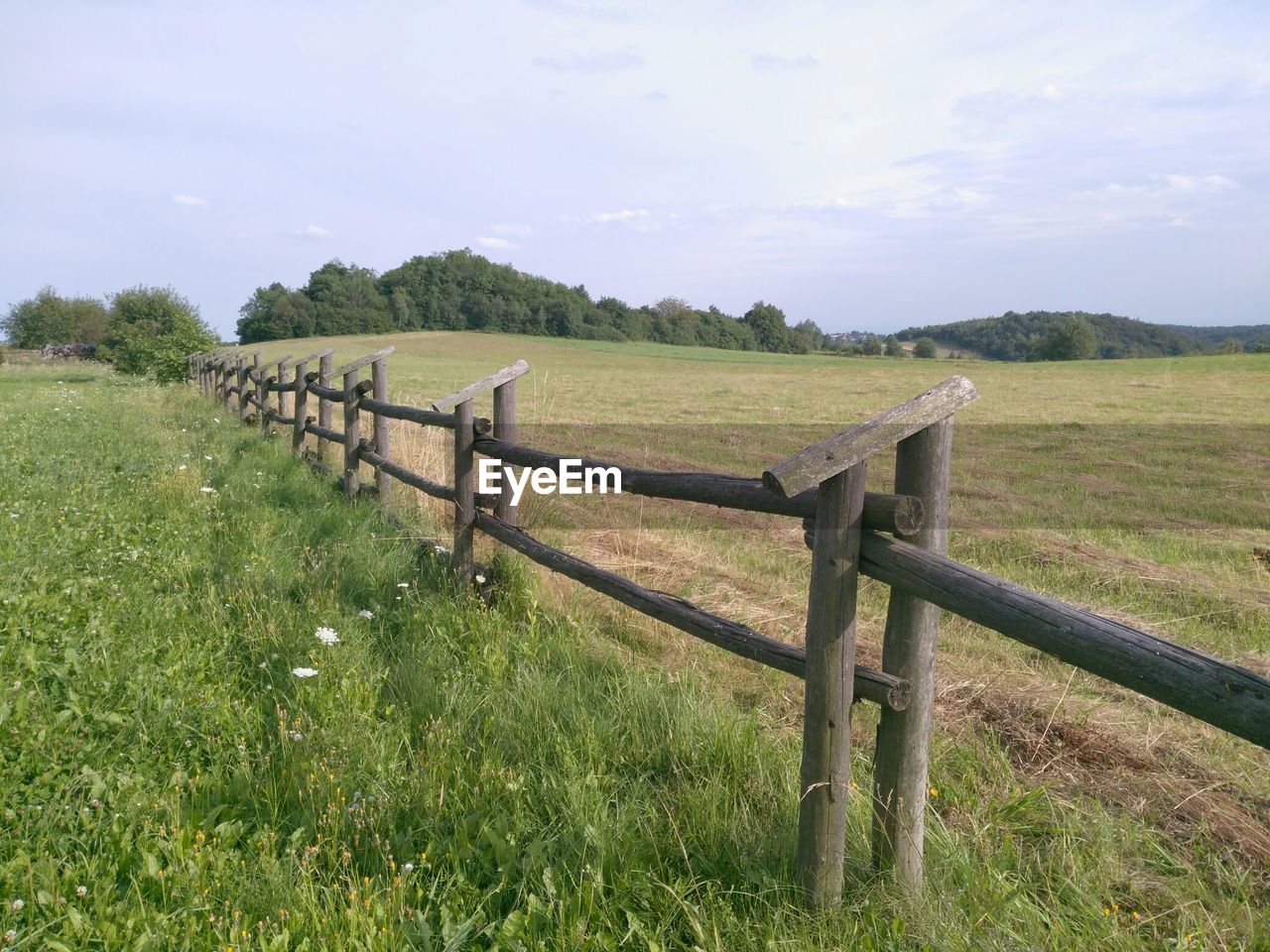 Fence on grassy field