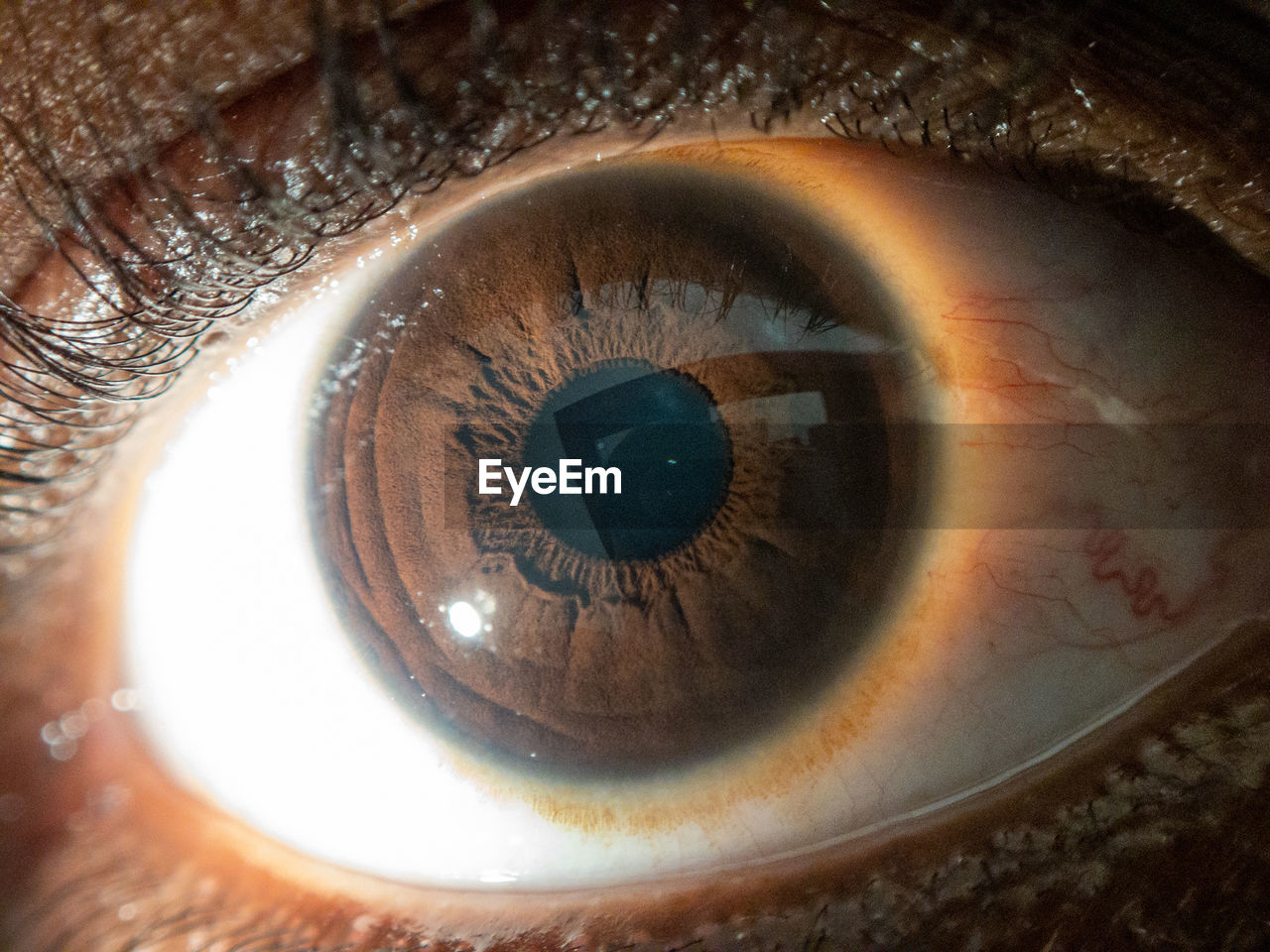 Close up of african american mans dark brown eyes for use in ophthalmology optometry imagery