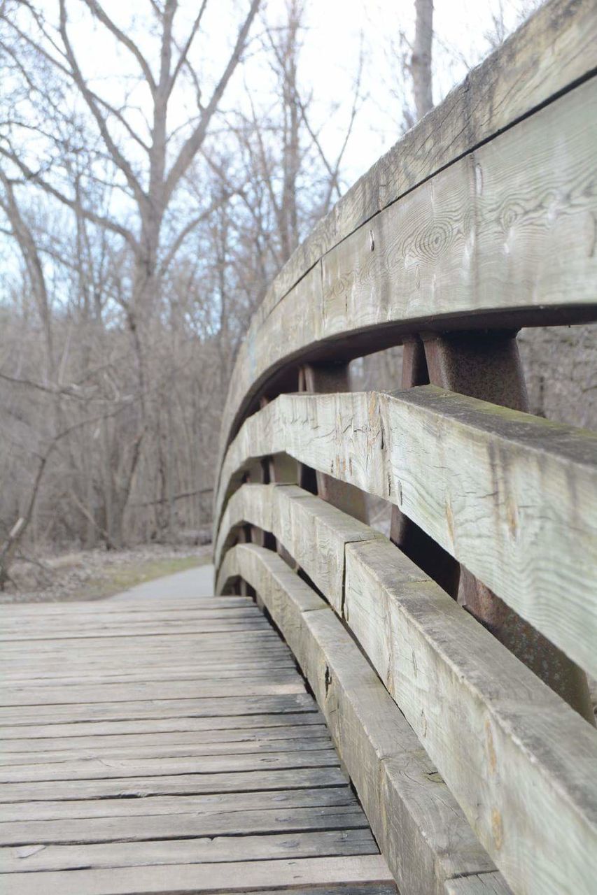 CLOSE-UP OF WOOD AGAINST BARE TREES