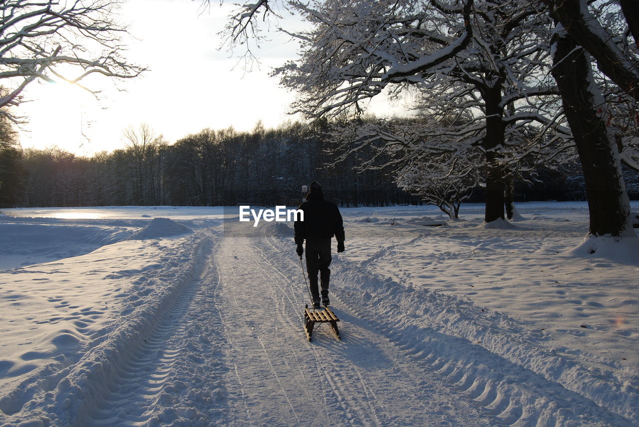 Rear view of man pulling sled on snowy field during sunny day