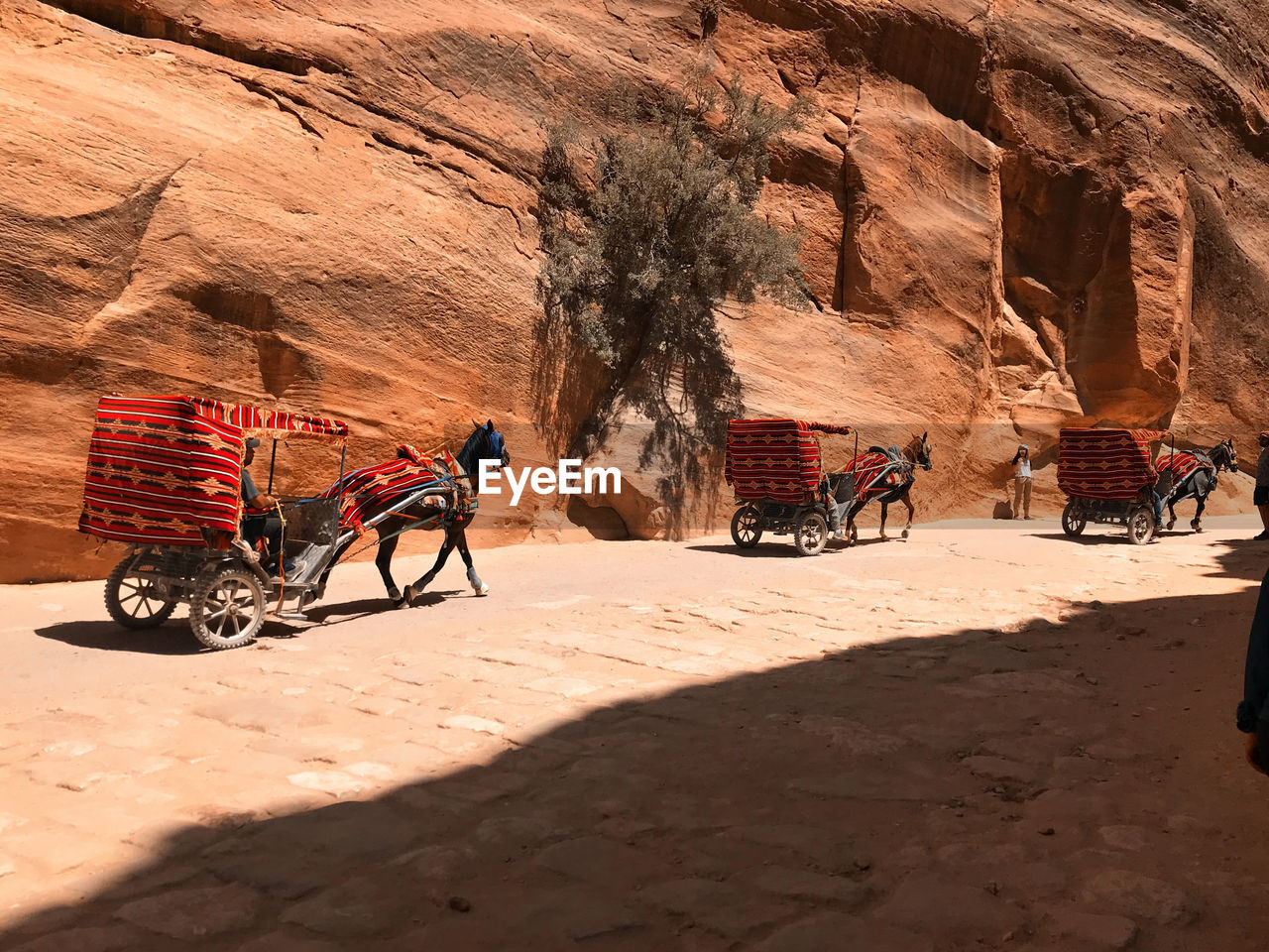 Horse drawn carriage in petra