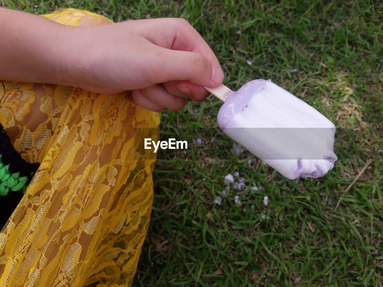 HIGH ANGLE VIEW OF HANDS HOLDING PLANT ON FIELD