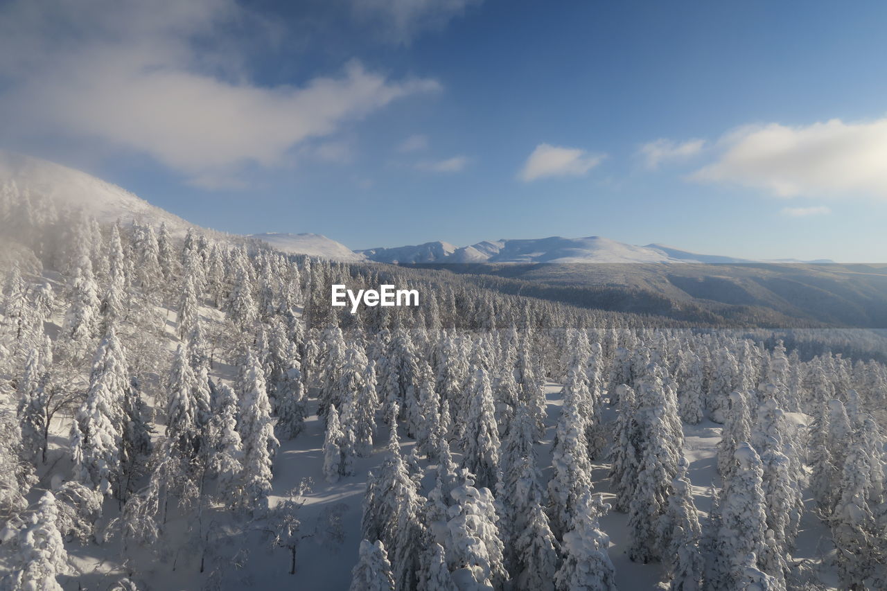 Snow covered landscape against sky