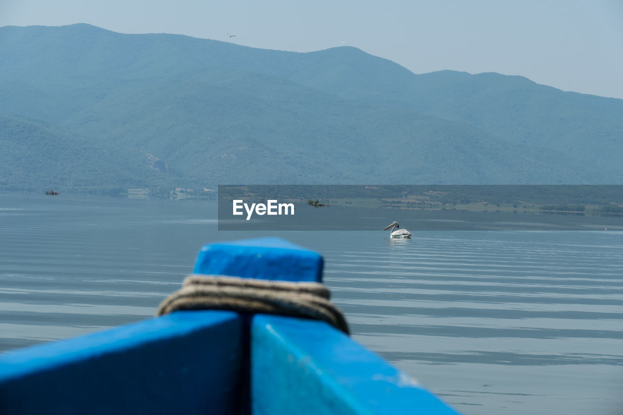 BIRD ON LAKE AGAINST MOUNTAINS