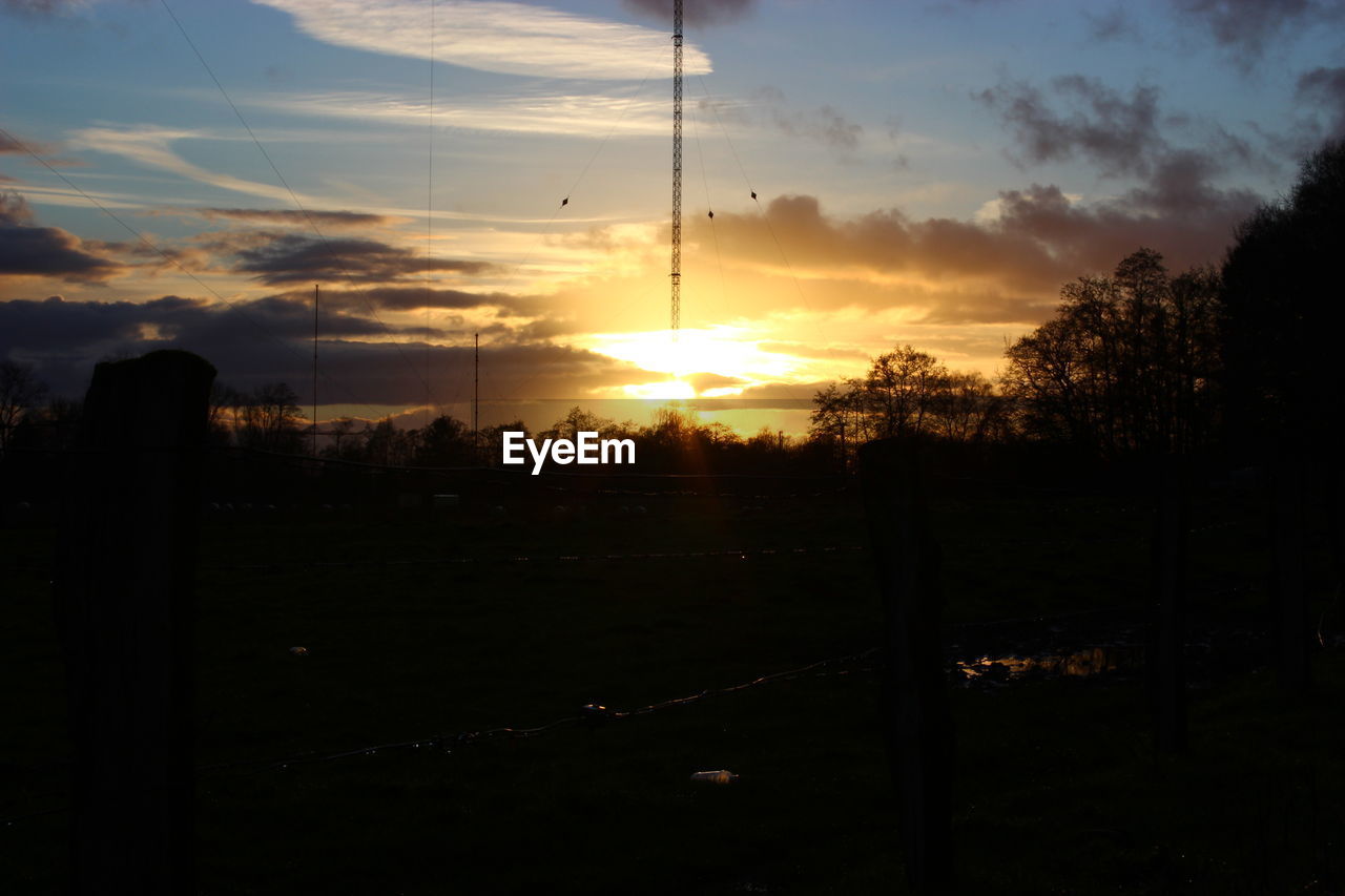 SILHOUETTE OF TREES AT SUNSET