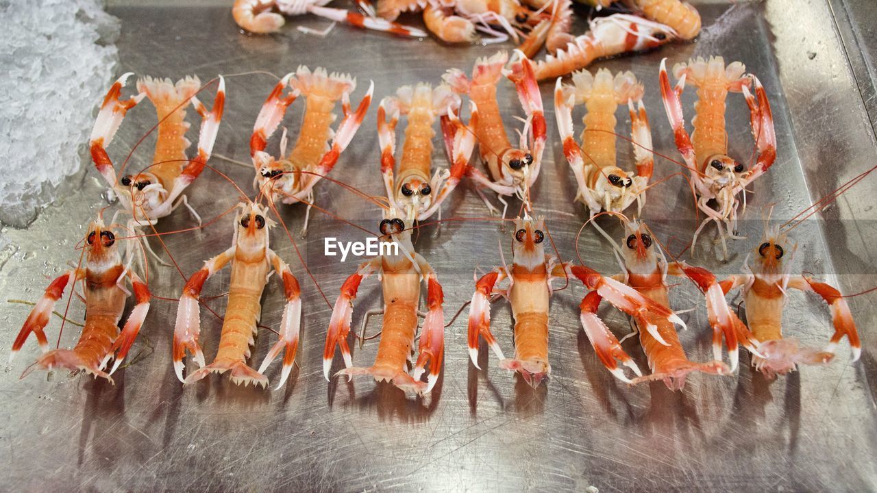 High angle view of seafood in market