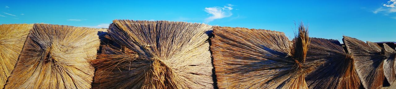 Panoramic view of thatched roofs against blue sky