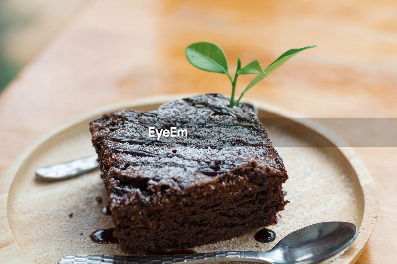 Close-up of chocolate cake in plate