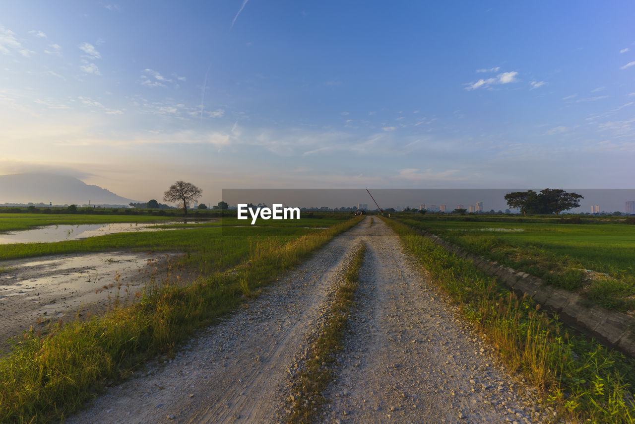 Dirt road amidst field against sky