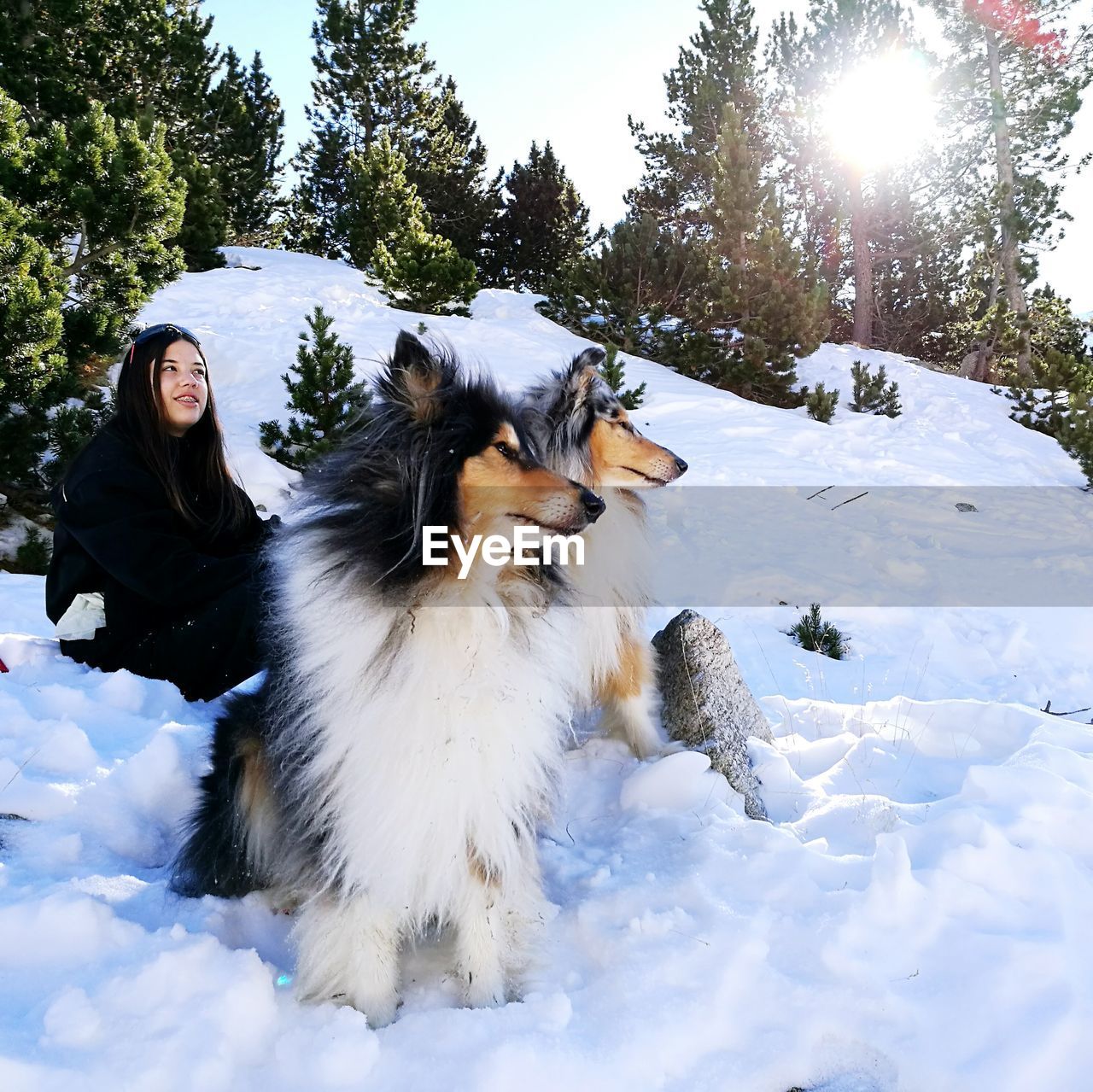 Young woman with dogs in winter