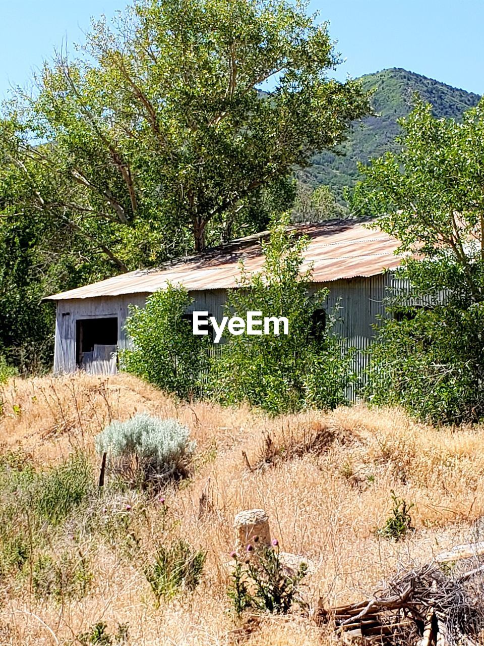 ABANDONED HOUSE ON FIELD AGAINST TREES AND PLANTS