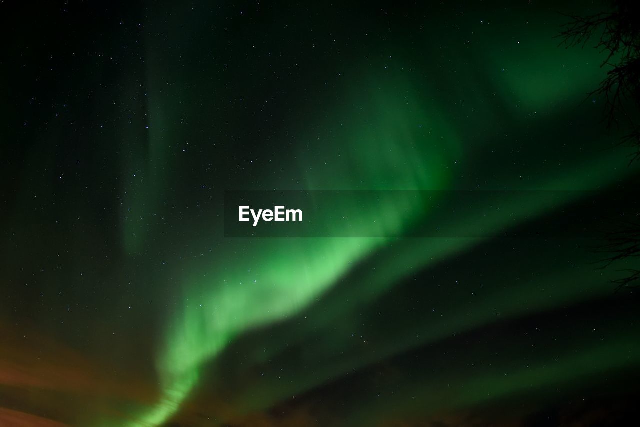 Low angle view of star field against sky at night