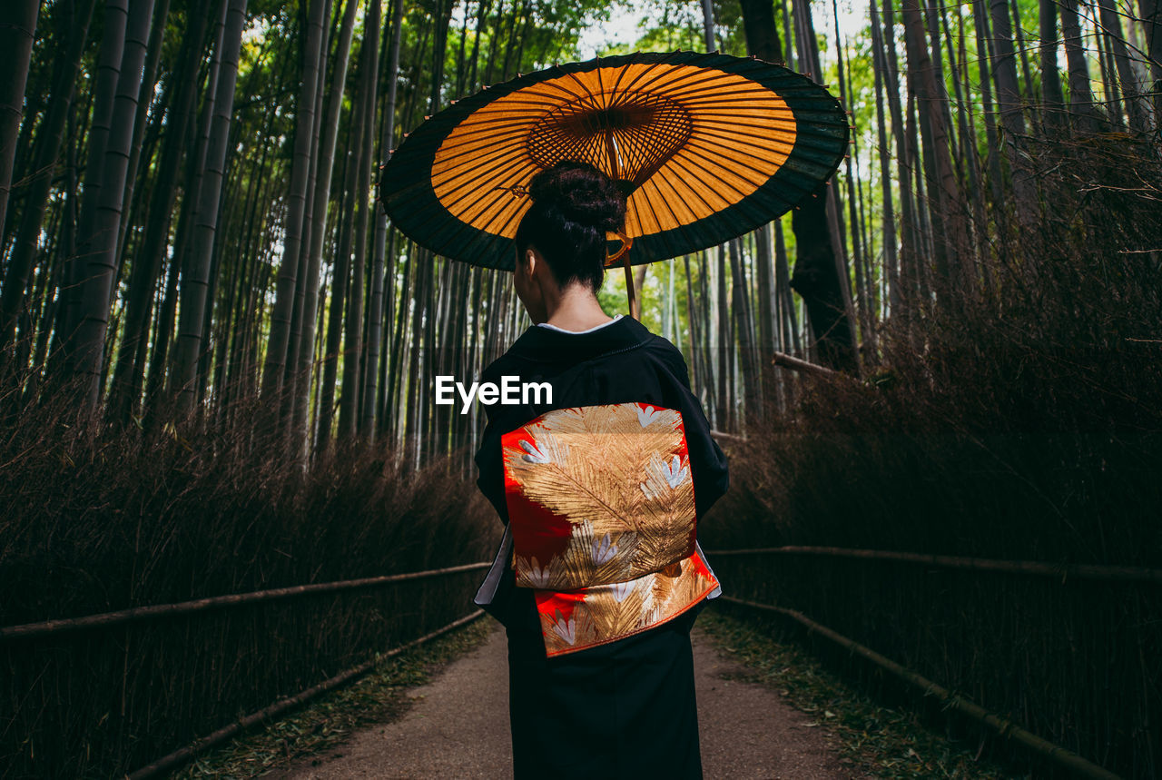 Rear view of woman with umbrella standing in forest during rainy season