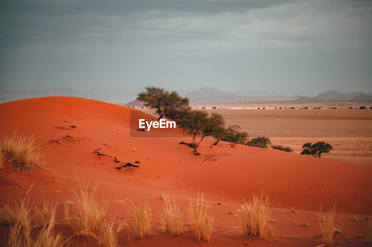 Scenic view of desert against sky