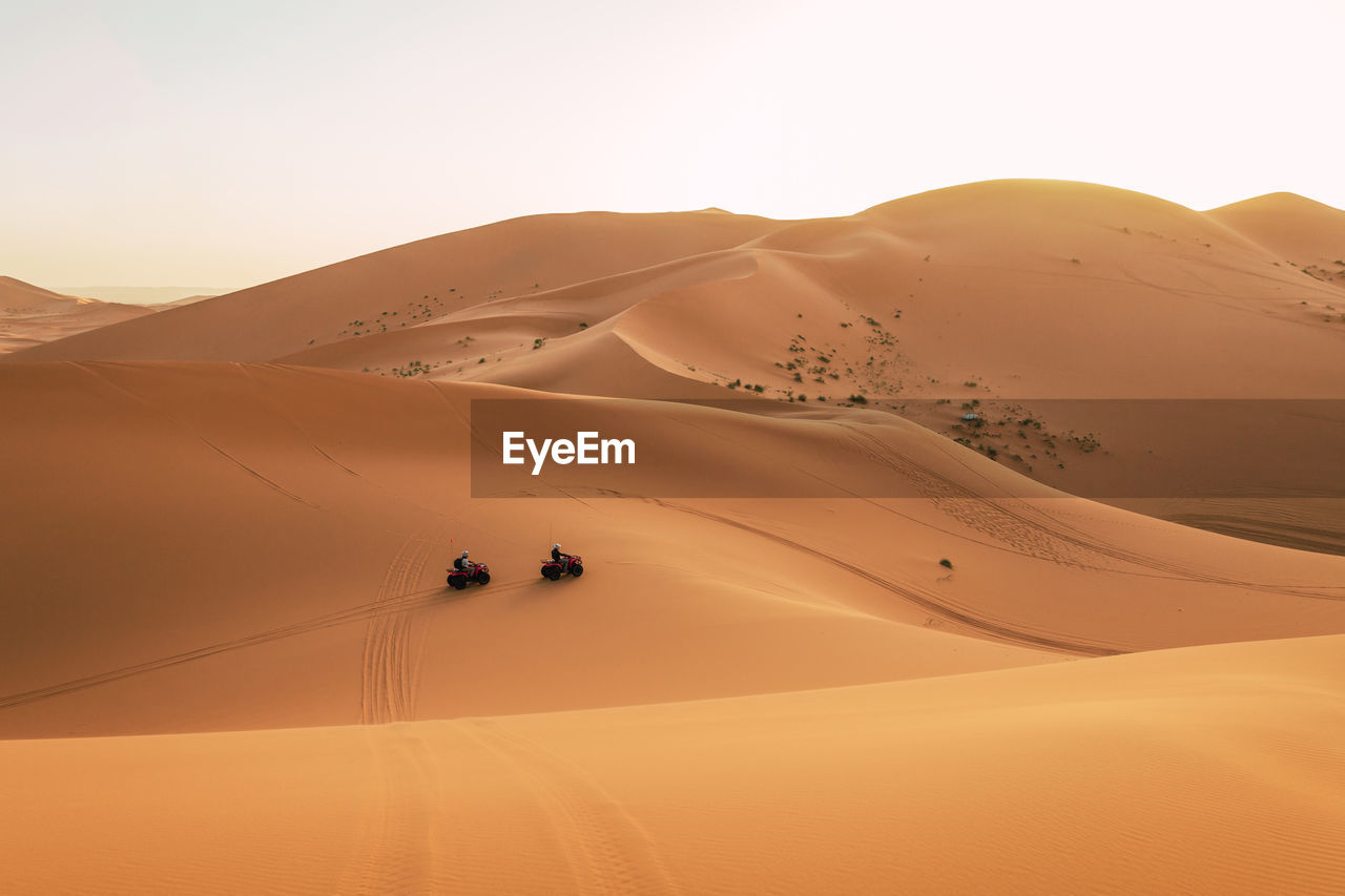 Tourists on quad bikes cross the dunes of the sahara desert at sunset
