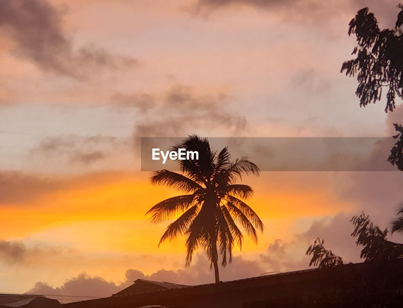 sky, sunset, tropical climate, tree, palm tree, beauty in nature, environment, cloud, scenics - nature, nature, plant, landscape, land, silhouette, travel destinations, tranquility, dawn, sunlight, travel, sun, evening, holiday, vacation, trip, mountain, tranquil scene, orange color, dramatic sky, no people, idyllic, outdoors, tourism, twilight, coconut palm tree, tropical tree, afterglow, water, horizon, sea, non-urban scene, cloudscape, romantic sky