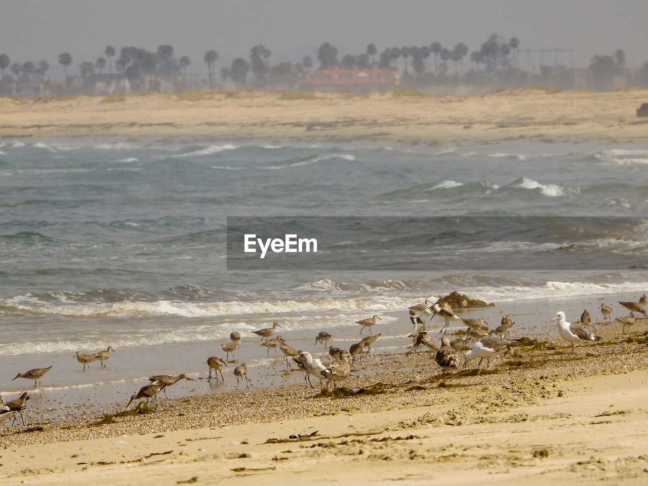 SCENIC VIEW OF SEA SHORE