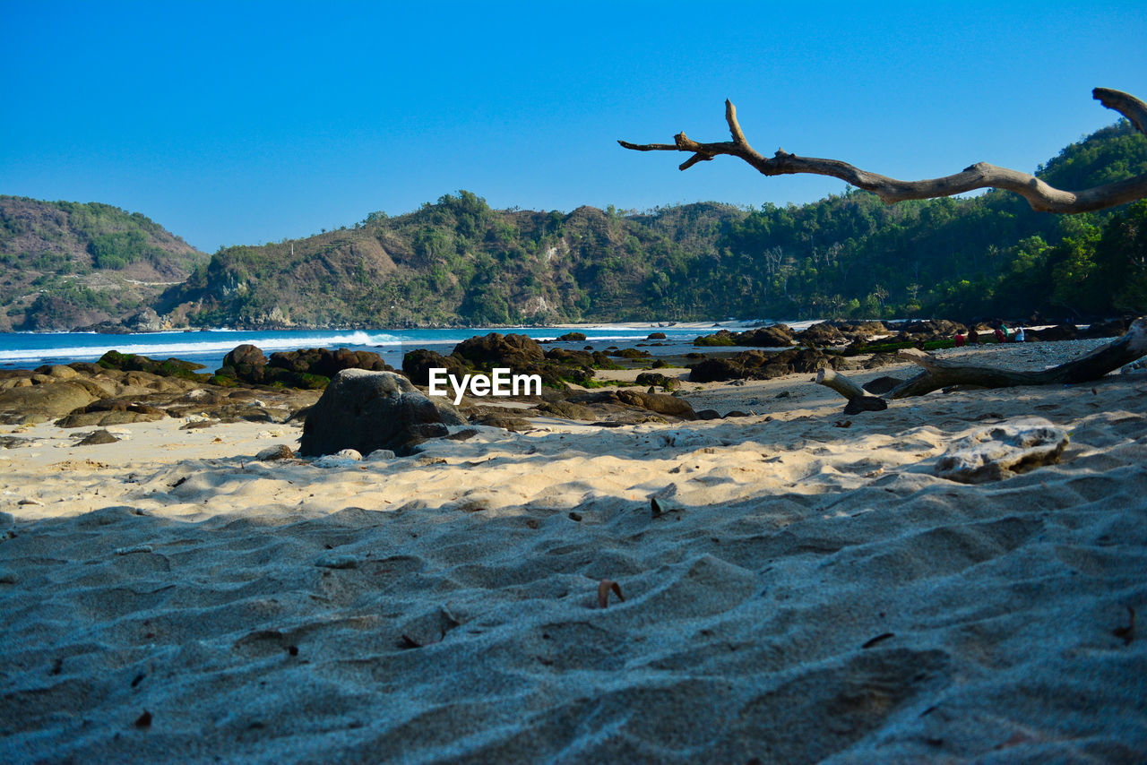 VIEW OF BIRDS ON BEACH