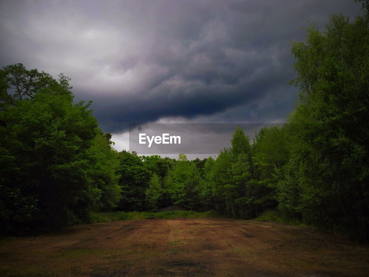 Trees growing on field against cloudy sky