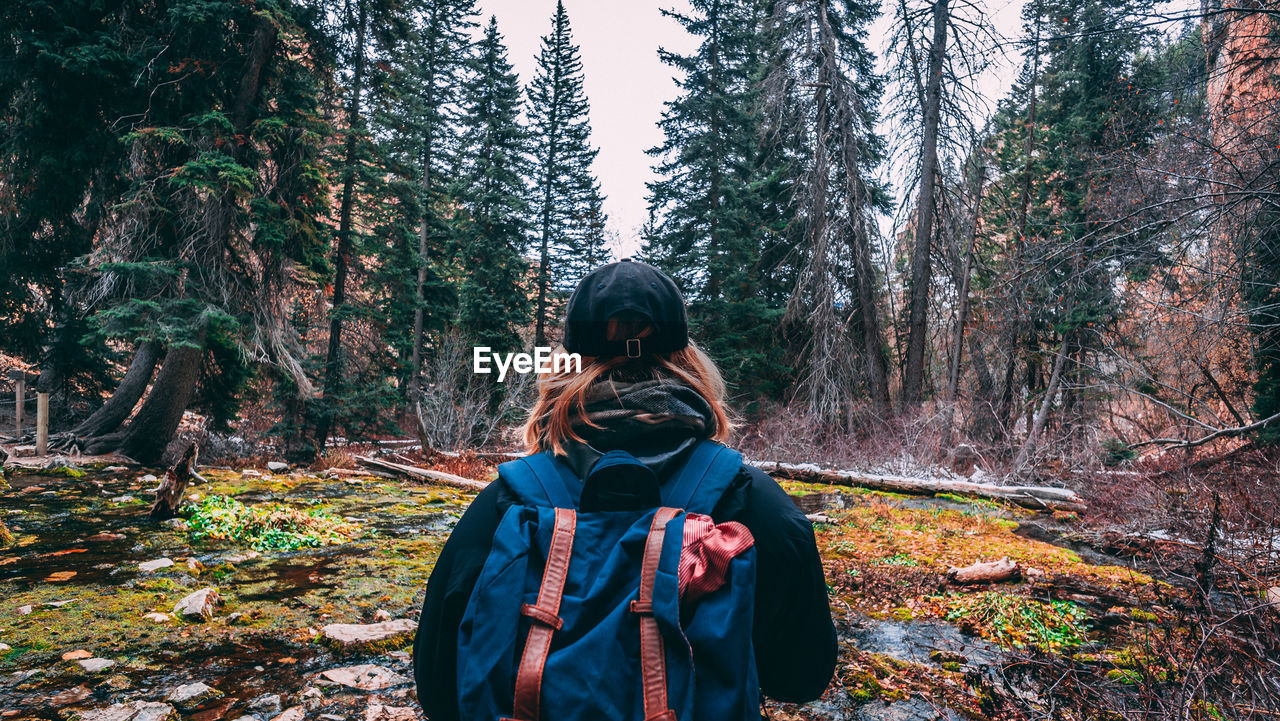 Rear view of woman against trees in forest