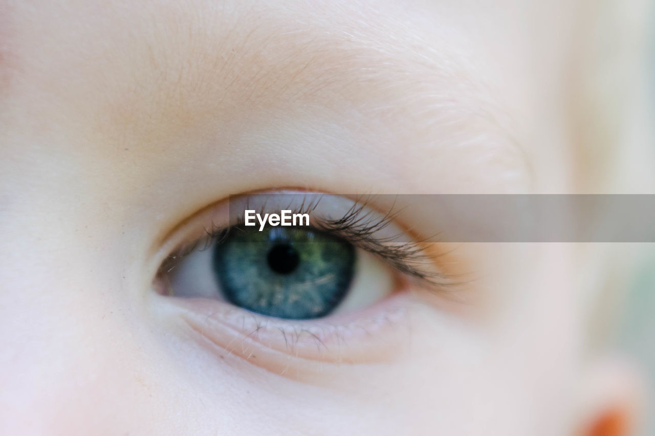 Cropped image of baby eye