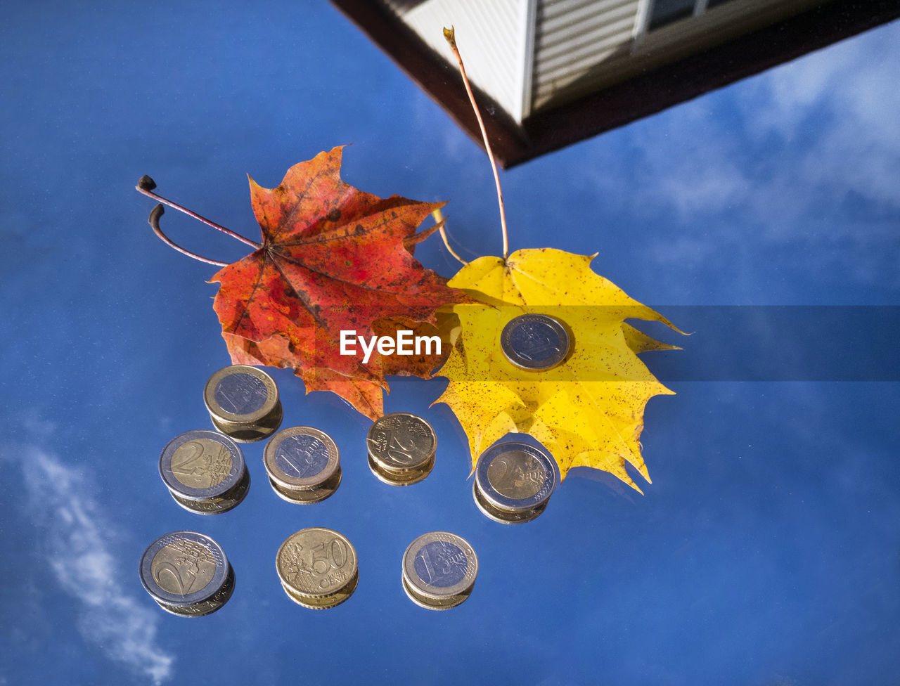 Close-up of autumn leaves and coins on mirror