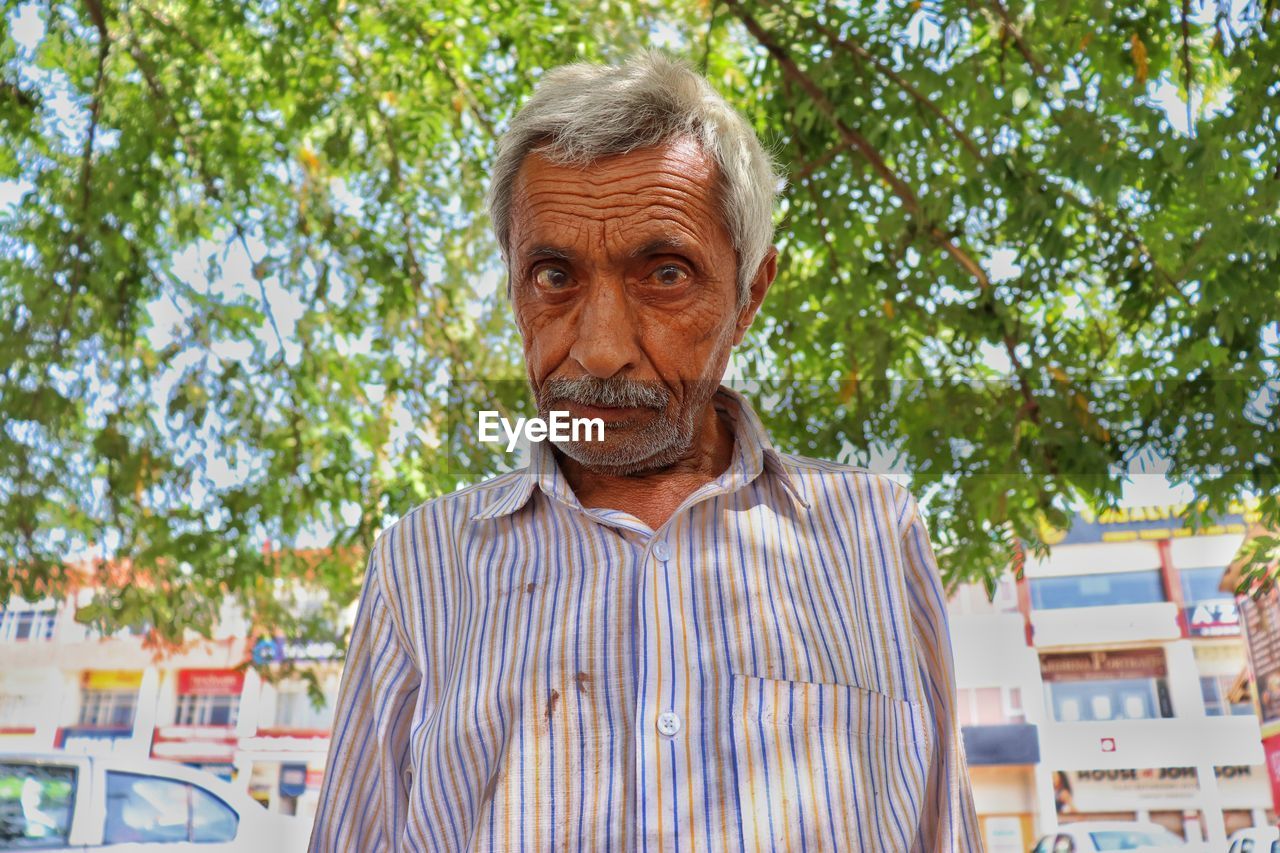 Low angle portrait of senior man standing against trees in city