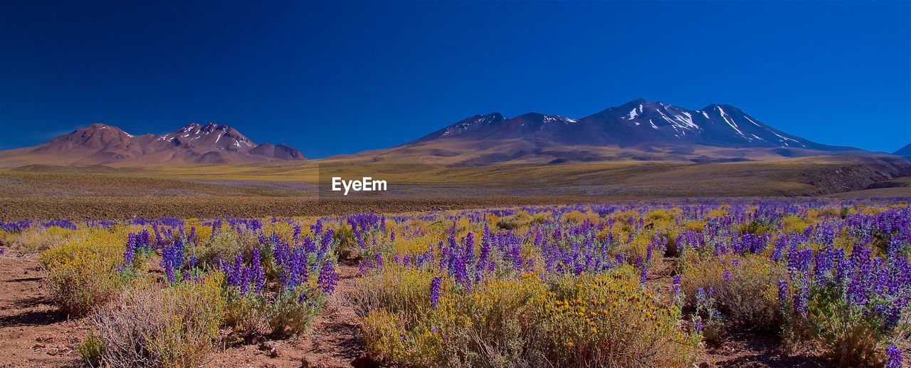 View of mountain range against blue sky