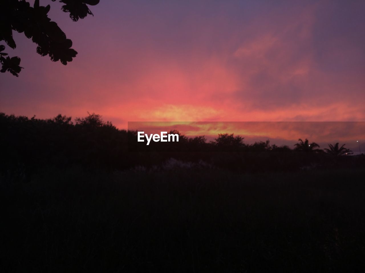 SCENIC VIEW OF SILHOUETTE TREES AGAINST SKY DURING SUNSET