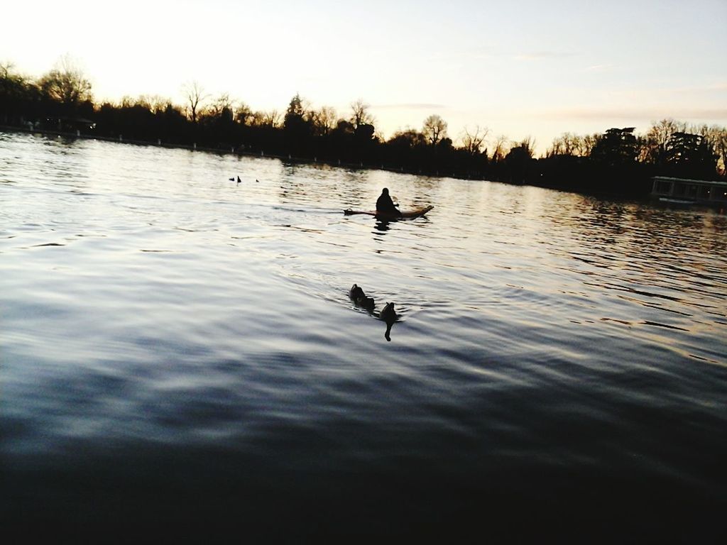 SWANS SWIMMING IN LAKE AGAINST SKY