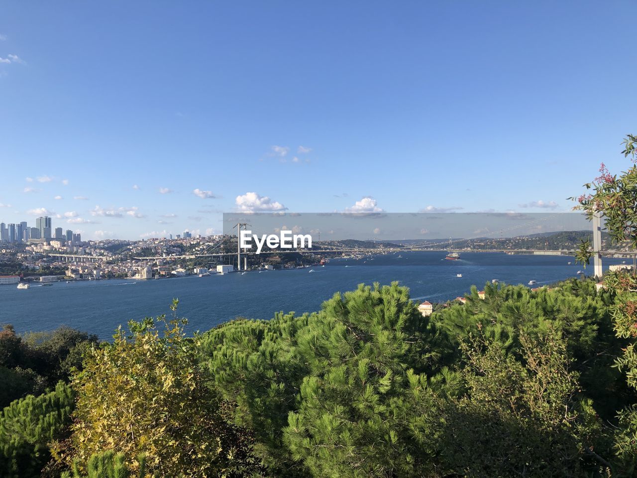 SCENIC VIEW OF SEA AND TREES AGAINST SKY