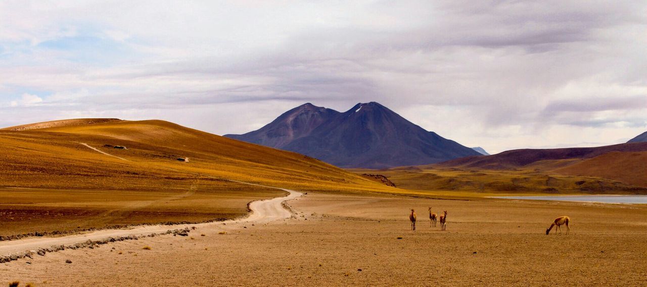 Scenic view of mountains