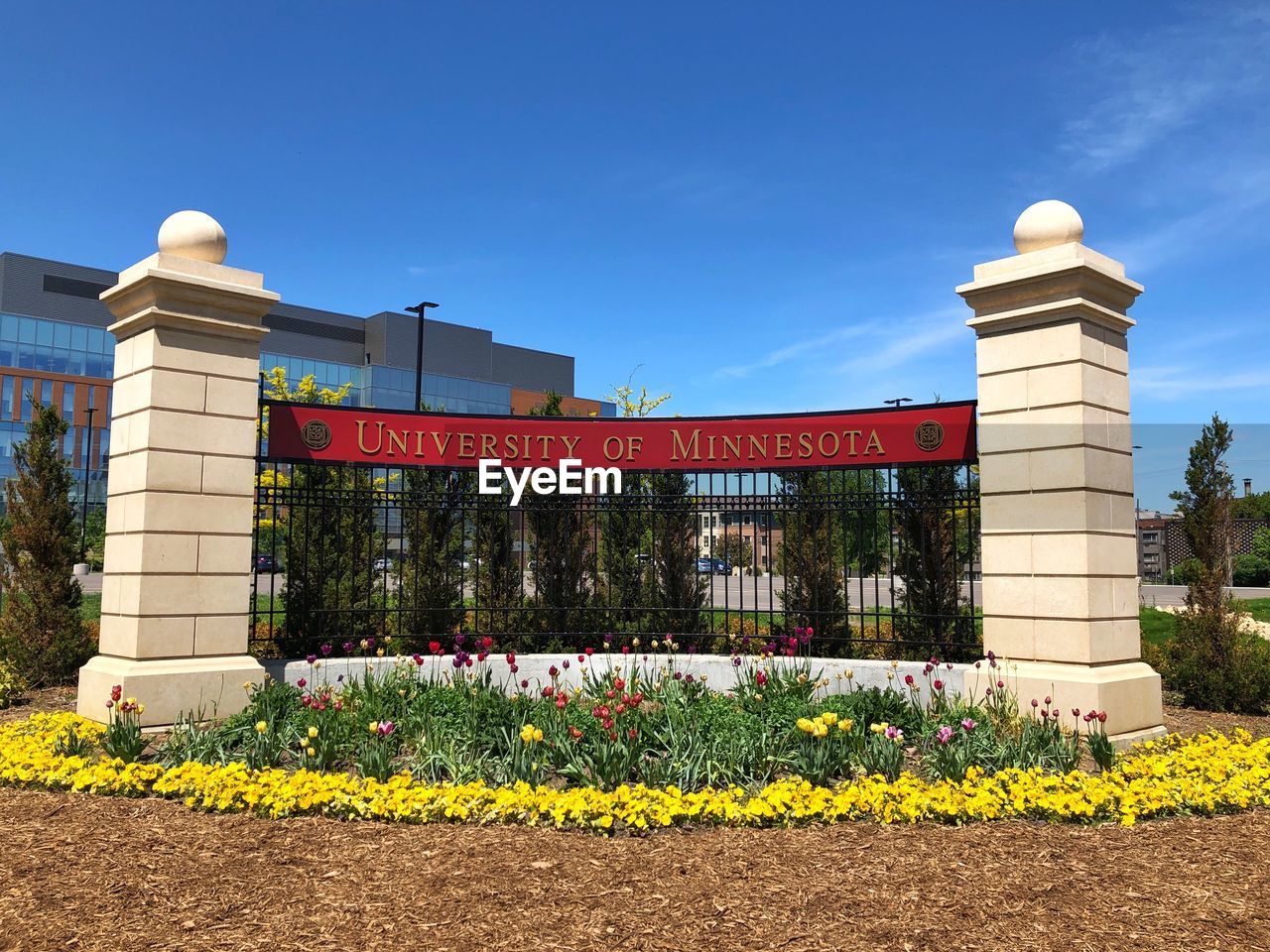 VIEW OF FLOWERING PLANTS BY BUILDING