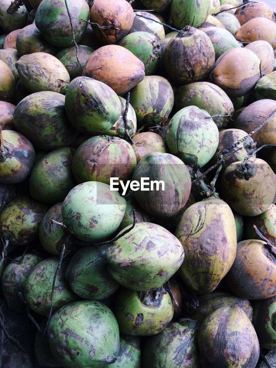 Close-up of coconuts for sale in market